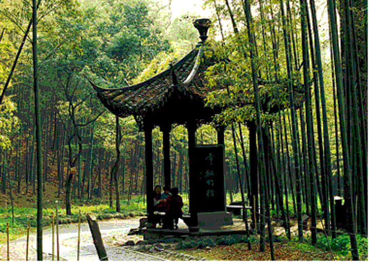 ty8天游平台登录
