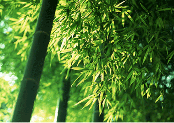 ty8天游平台登录